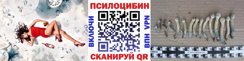 маркетплейс телеграм  hydra ONION  Лесозаводск  купить закладку  Галлюциногенные грибы MAGIC MUSHROOMS 